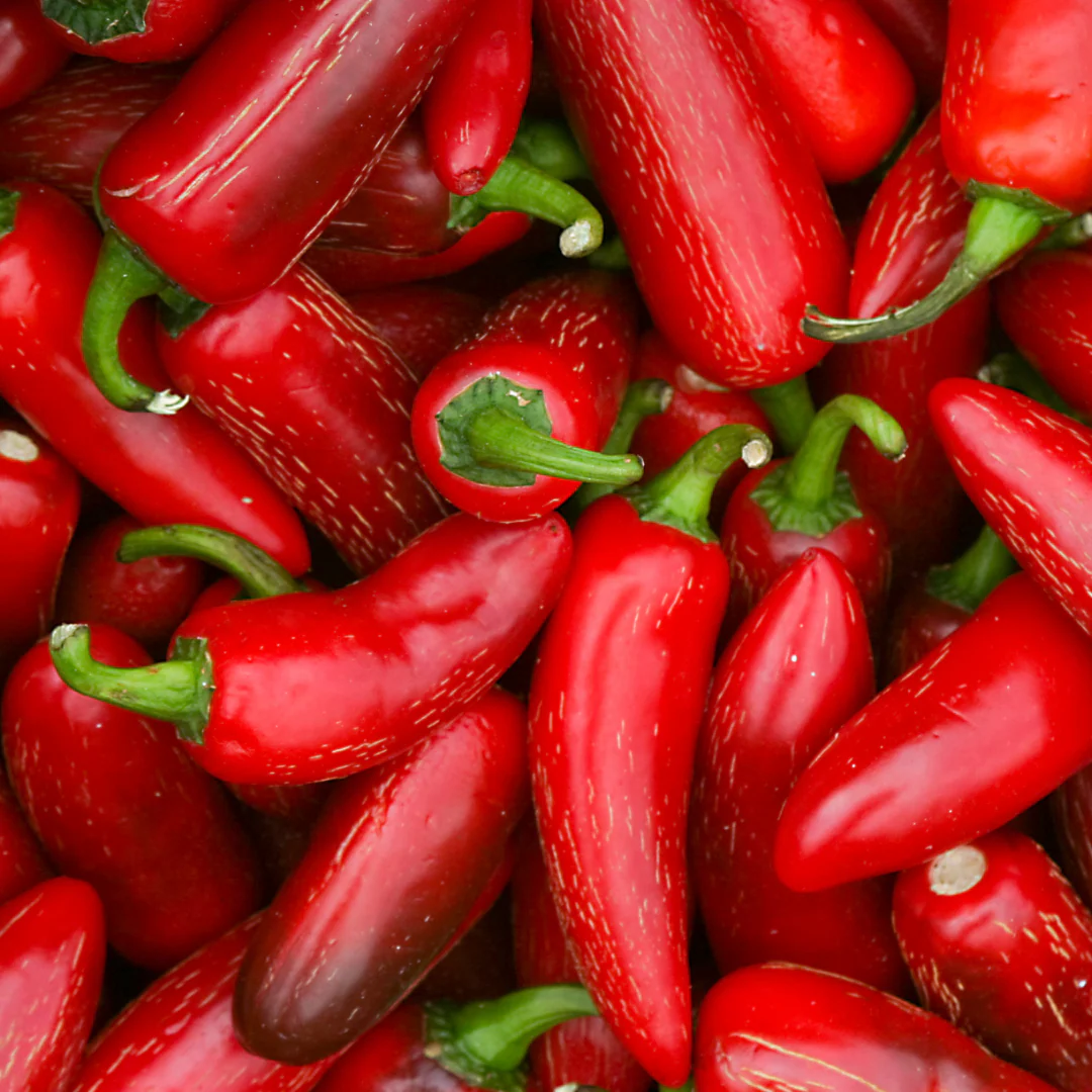 Fresh Hatch Red Jalapeño Peppers | Fully Ripened and Grown in Hatch, New Mexico - Image 3